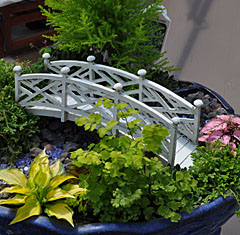 Container Garden with Hosta