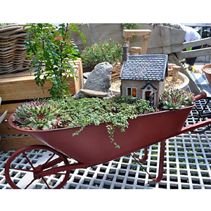 Miniature Gardening Top Ten Container Ideas