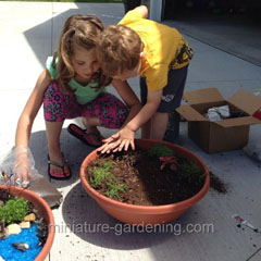 Steps in Miniature Gardening with Children
