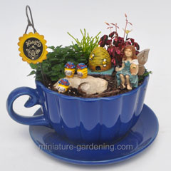 Teacup fairy garden 