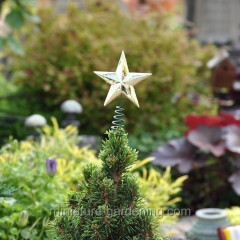 Golden Star Tree Topper