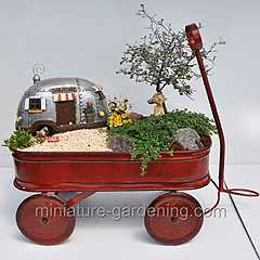 Miniature Gardening Top Ten Container Ideas