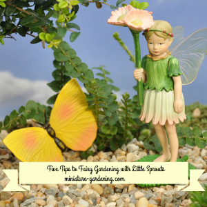 www.wintergreenhouse.com: Five Tips to Fairy Gardening with Little Sprouts 