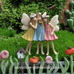 Sharing Secrets Fairies