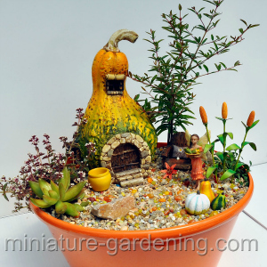 Gourd Garden