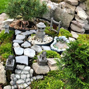 Jarods Zen Garden
