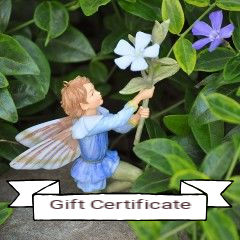 Miniature Gardening Gift Certificate