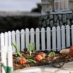 Whitewood Picket Fence