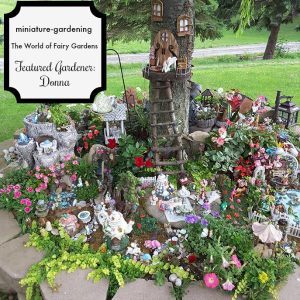 The World of Fairy Gardens