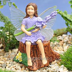 Lavender Fairy