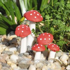 5-piece set of toadstools