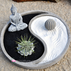 Zen Miniature Gardening
