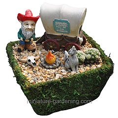Wild West Garden