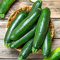 Squash, Zucchini Fortress