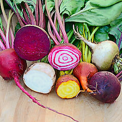 Beet, Rainbow Blend