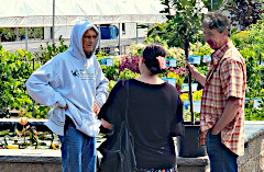 Helping Choose Trees