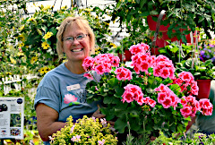 Colorful Flowers Everywhere