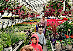 Shopping with the Kiddies