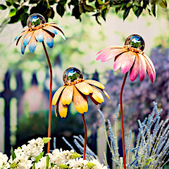 Cone Flowers
