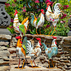 Roosters