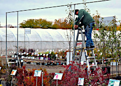 Shade Structure in Nursery