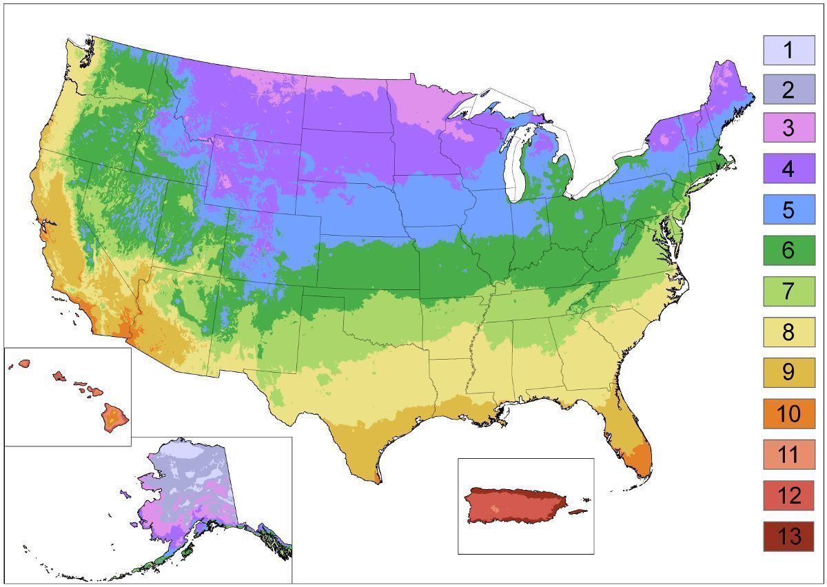 USDA Hardiness Zone Map