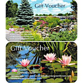 <b>Gift Voucher</b>